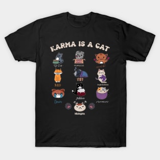 Karma Is A Cat GIft For Boy Girl Kids T-Shirt